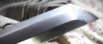 Pavel Bolf - Tachi ve stylu Denta Mitsuyo