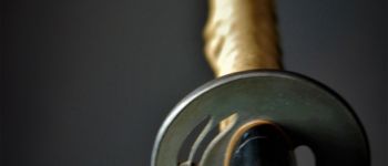 Pavel Bolf - Katana v uchigatana koshirae ve stylu období Nambokucho, školy Gassan, Tsuba