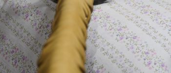 Pavel Bolf - Tachi v uchigatana koshirae, same saya