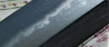 Pavel Bolf - Katana ve stylu období Nambokucho