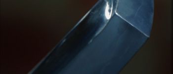 Pavel Bolf - Katana ve stylu školy Bizen, Iaitó