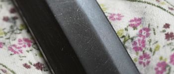 Pavel Bolf - katana tensho koshirae