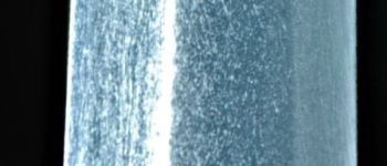 Pavel Bolf - Tanto aikuchi dashi zame koshirae