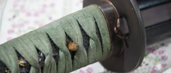 Pavel Bolf - Tachi ve stylu Denta Mitsuyo