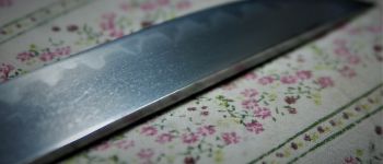 Pavel Bolf - Sunobi tanto ve stylu školy Mino, detail čepele