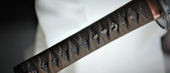 Pavel Bolf - Ichimonji katana tsuba