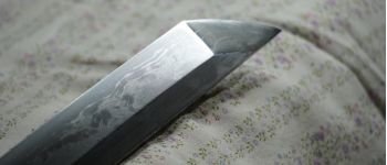 Pavel Bolf - Tachi v uchigatana koshirae, same saya