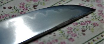 Pavel Bolf - Sunobi tanto ve stylu školy Mino, detail čepele