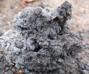 Tavba tamahagane v březnu 2022 v Pálovicích u Pavla Bolfa