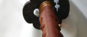 Pavel Bolf - O-wakizashi, Tensho koshirae, reprodukce Soshu stylu, tsuba