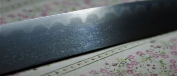 Pavel Bolf - Sunobi tanto ve stylu školy Mino, detail čepele