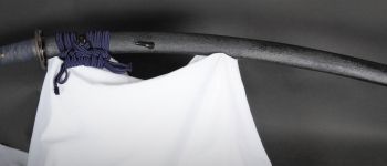 Pavel Bolf - Tachi ve stylu Ichimonji