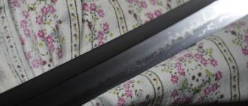 Pavel Bolf - katana tensho koshirae