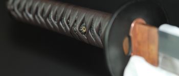 Pavel Bolf - katana v uchigatana koshirae, menuki