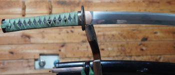 Pavel Bolf - Tachi ve stylu Denta Mitsuyo