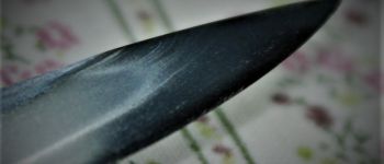 Pavel Bolf - Tanto aikuchi dashi zame koshirae