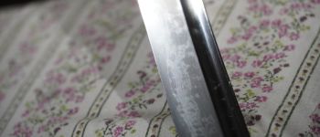 Pavel Bolf - katana tensho koshirae