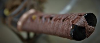 Pavel Bolf - Wakizashi shobu zukuri Kashira