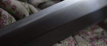 Pavel Bolf - Tachi ve stylu Denta Mitsuyo