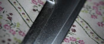 Pavel Bolf - Tanto aikuchi dashi zame koshirae