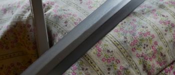 Pavel Bolf - katana tensho koshirae