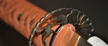 Pavel Bolf - Katana v tensho koshirae období Edo. Tsuba.