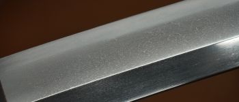 Pavel Bolf - Tachi ve stylu Denta Mitsuyo