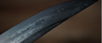 Pavel Bolf - Wakizashi shobu zukuri