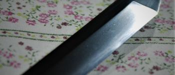 Pavel Bolf - Tachi ve stylu období Kamakura Detail čepele