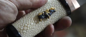 Pavel Bolf - Hira zukuri tanto v aikuchi koshirae