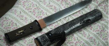 Pavel Bolf - Hira zukuri tanto in Aikuchi koshirae