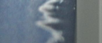 Pavel Bolf - Katana ve stylu školy Bizen, Iaitó