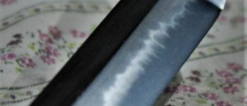 Pavel Bolf - Katana ve stylu období Nambokucho