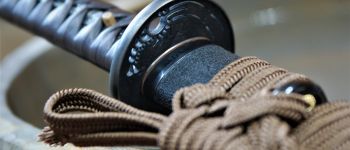 Pavel Bolf - Tachi v uchigatana koshirae, Kamakura Ichimonji styl, Tsuba