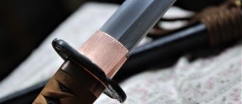 Pavel Bolf - O-wakizashi, tensho koshirae, Tsuba