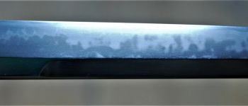 Pavel Bolf - Tanto s kogatana