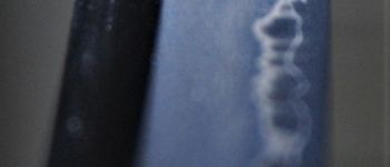 Pavel Bolf - Katana ve stylu školy Bizen, Iaitó