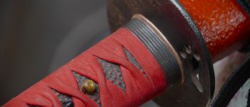 Pavel Bolf - katana tensho koshirae