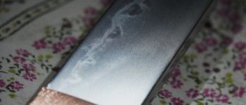 Pavel Bolf - Hira zukuri tanto in aikuchi koshirae