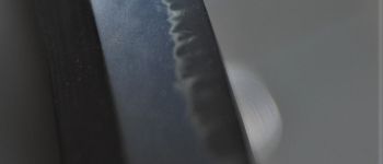 Pavel Bolf - Katana v tensho koshirae období Edo. Detail čepele.