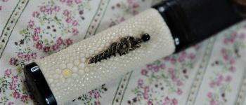 Tanto hira zukuri s kogatana