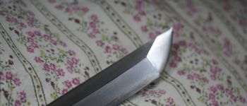 Pavel Bolf - katana tensho koshirae