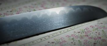 Pavel Bolf - Sunobi tanto ve stylu školy Mino, detail čepele