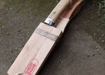 Pavel Bolf - Japanese Nata