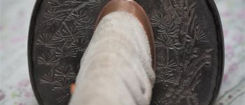 Pavel Bolf - katana tensho koshirae