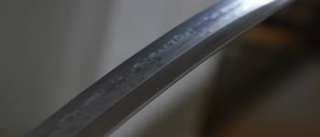 Pavel Bolf - Wakizashi shobu zukuri