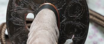 Pavel Bolf - katana tensho koshirae