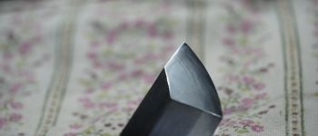 Pavel Bolf - Tachi ve stylu Denta Mitsuyo