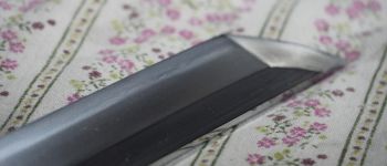 Pavel Bolf - Tachi ve stylu Denta Mitsuyo