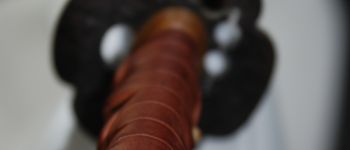 Pavel Bolf - O-wakizashi, Tensho koshirae, reprodukce Soshu stylu, tsuba